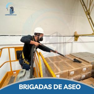 Servicio de aseo por horas